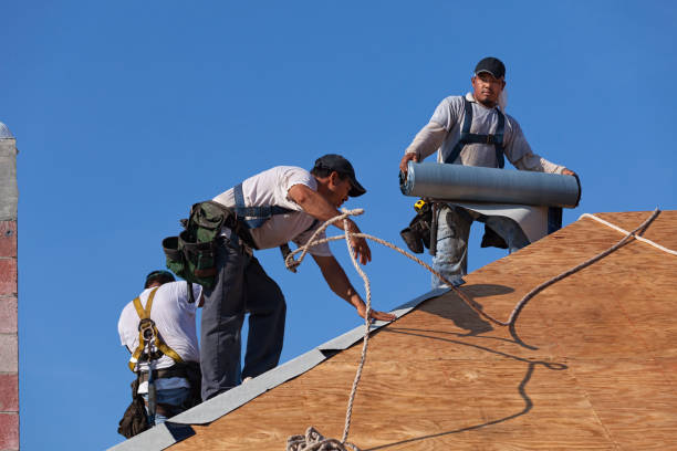 Best Storm Damage Roof Repair  in Oak Ridge, TN